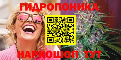 индика Краснокаменск