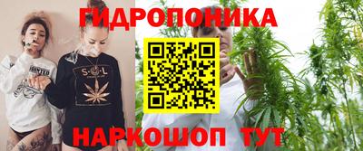 индика Краснокаменск