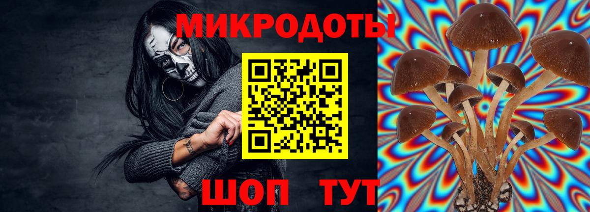 Псилоцибиновые грибы MAGIC MUSHROOMS  Вход с VPN  наркота  Зеленогорск 
